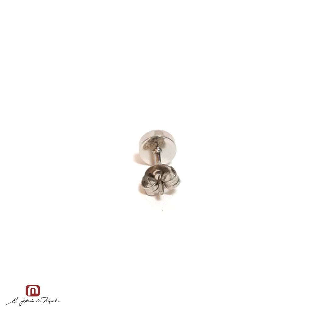 PE-64912 ステンレス製ピアス