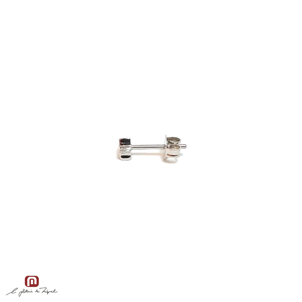 PE-64913 ステンレス製ピアス