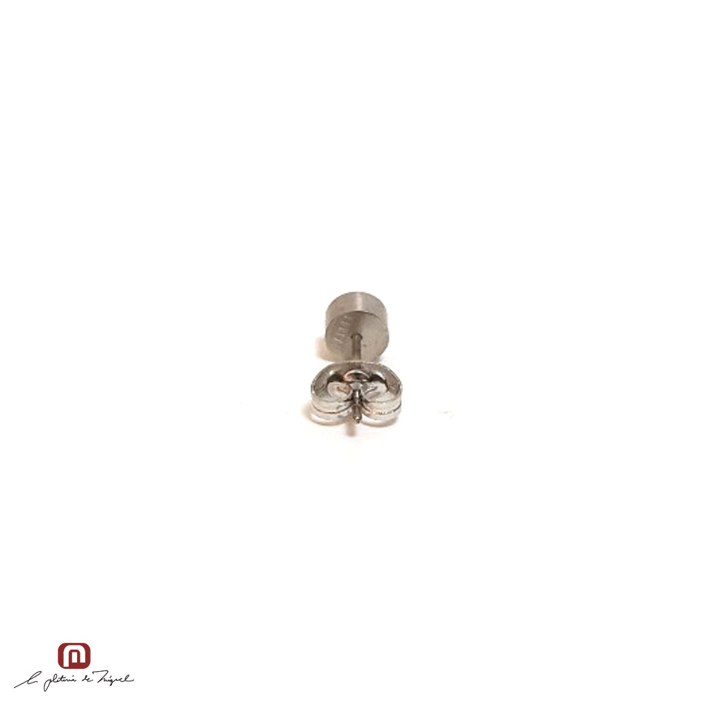 PE-64922 ステンレス製ピアス