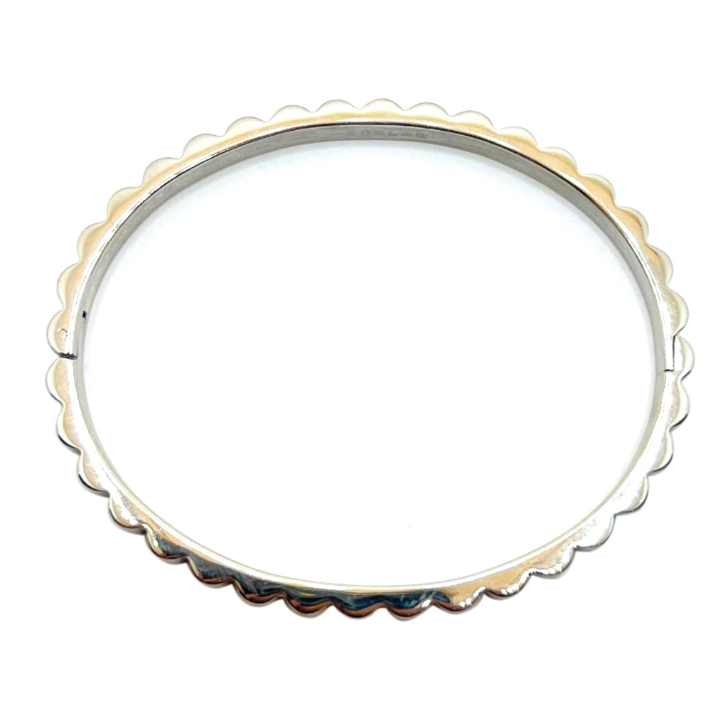 STB-65169 ステンレス製バングル