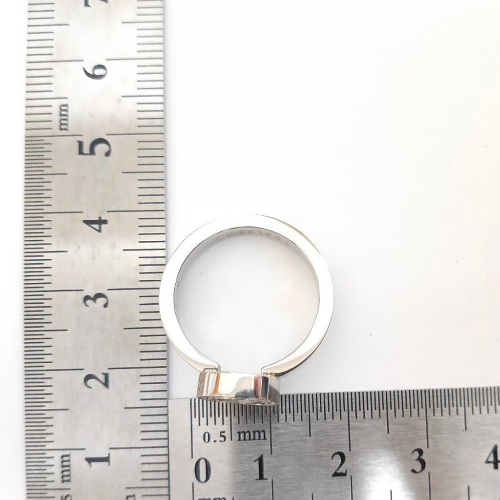 STR-65109 ステンレス製リング