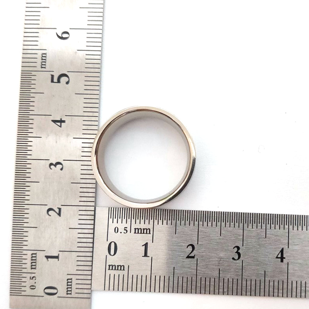 STR-65138 ステンレス製リング