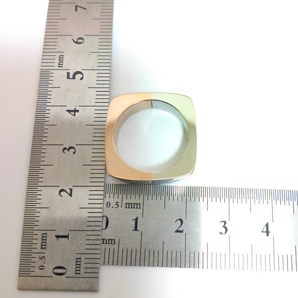 STR-65147 ステンレス製リング