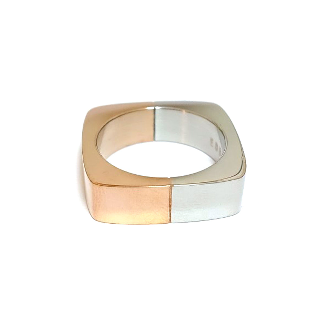 STR-65147 ステンレス製リング