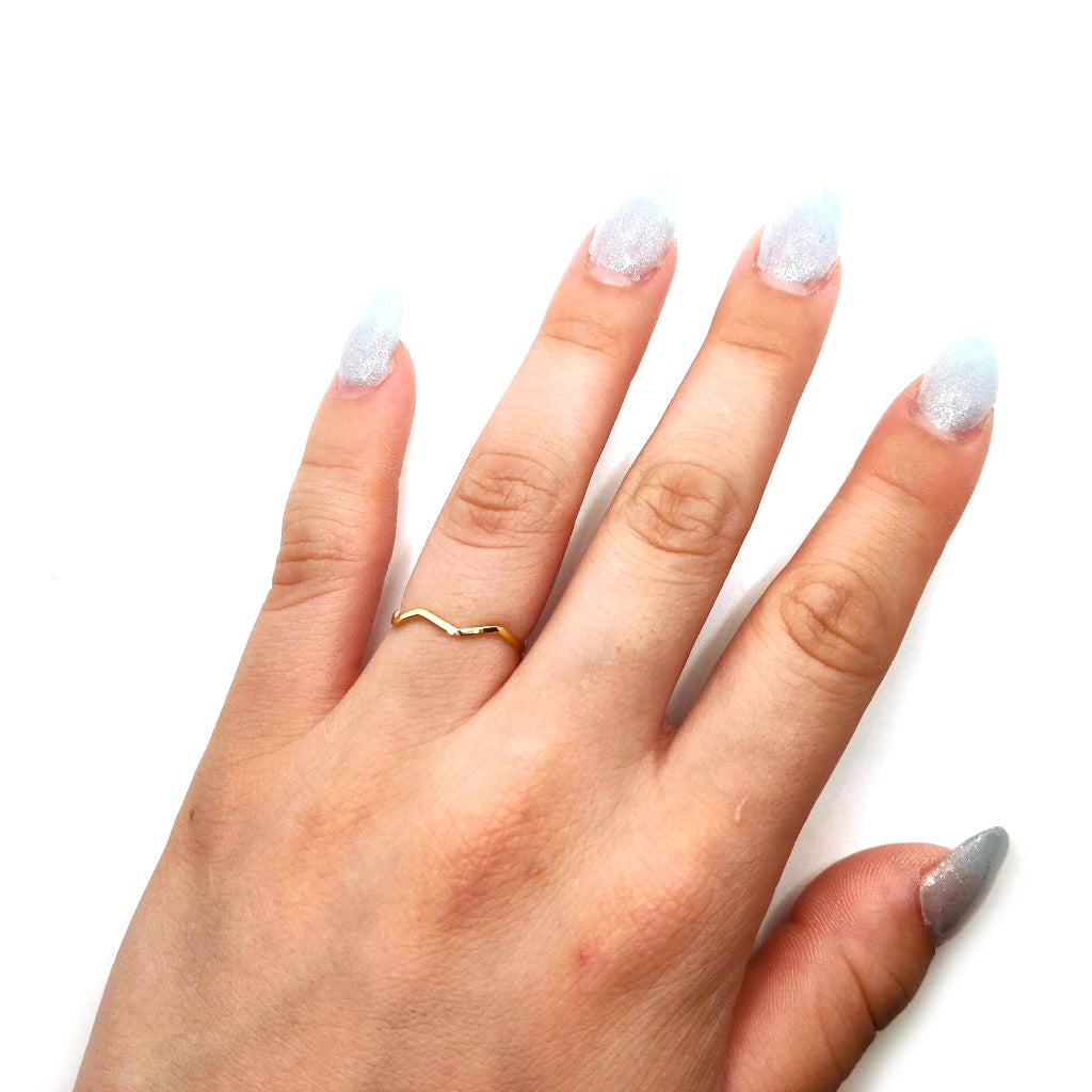 PD-63081 合金製リング