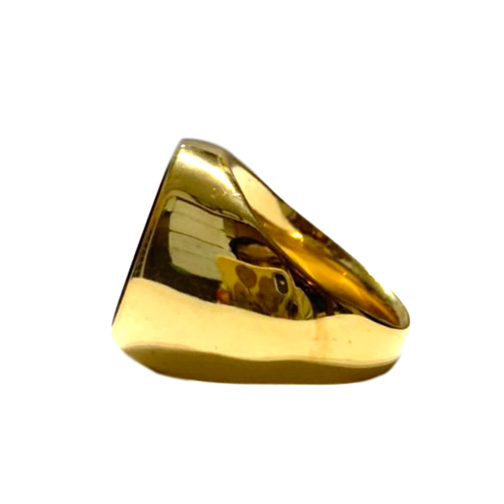 GDR-64365 ステンレス製リング