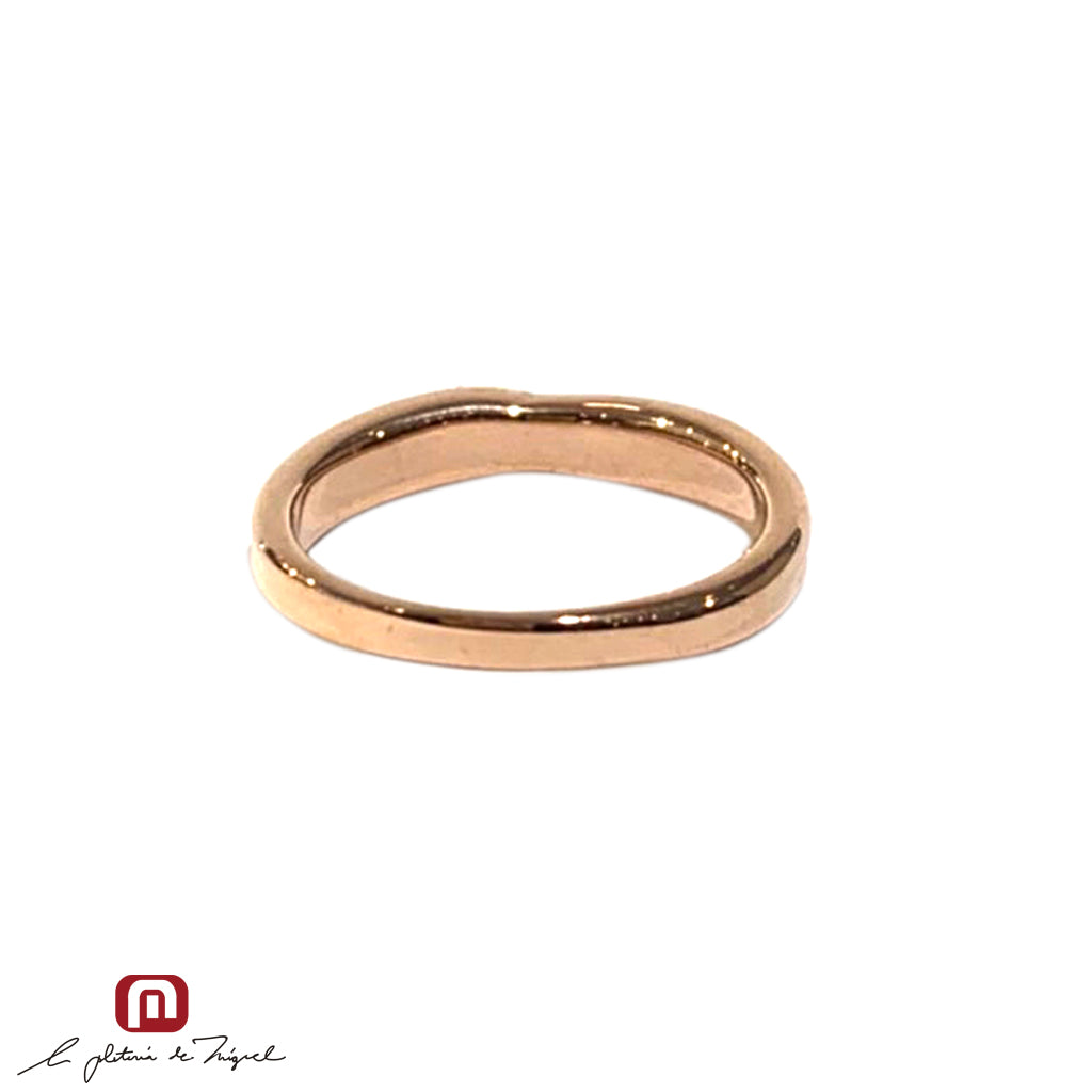 PR-63512 ステンレス製リング