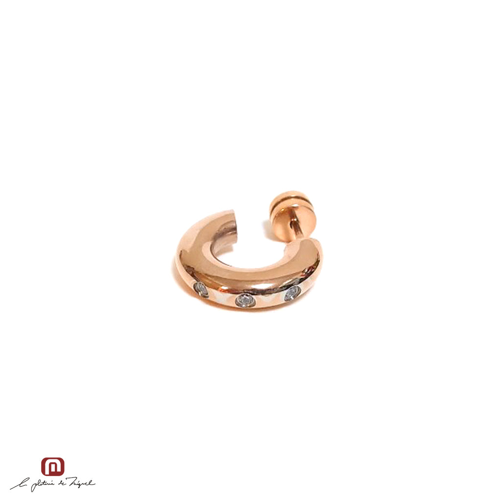 PE-64915 ステンレス製ピアス