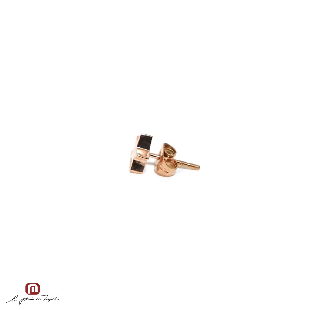 PE-64924 ステンレス製ピアス