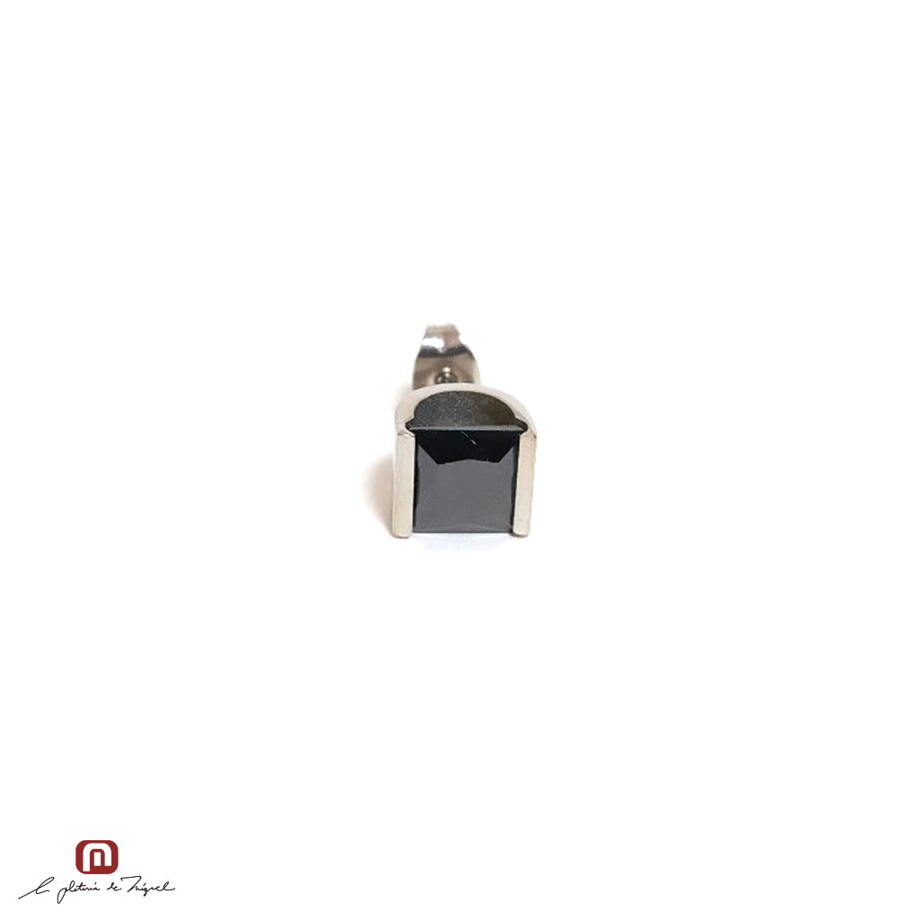 PE-64930 ステンレス製ピアス
