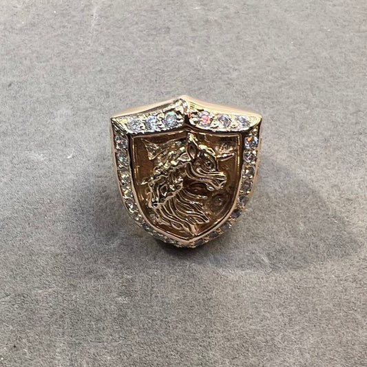 Dragon Shield