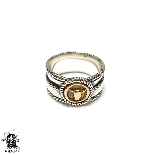 THR-74919 SVBR [Argento Coraggio]