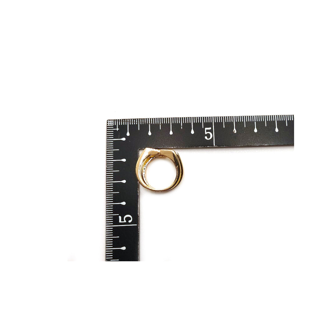PD-63113 合金製リング