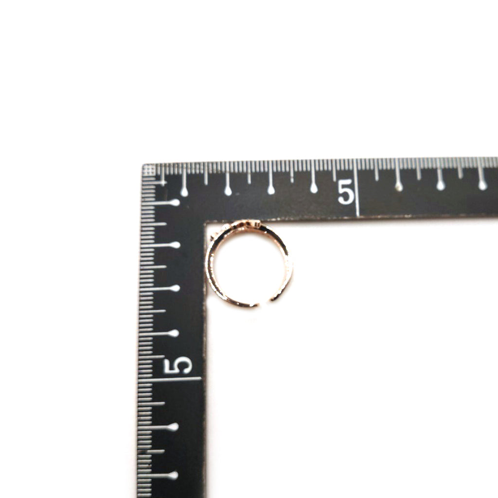 PD-63145 合金製リング