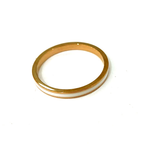 PR-61716 GDWH ステンレス製リング