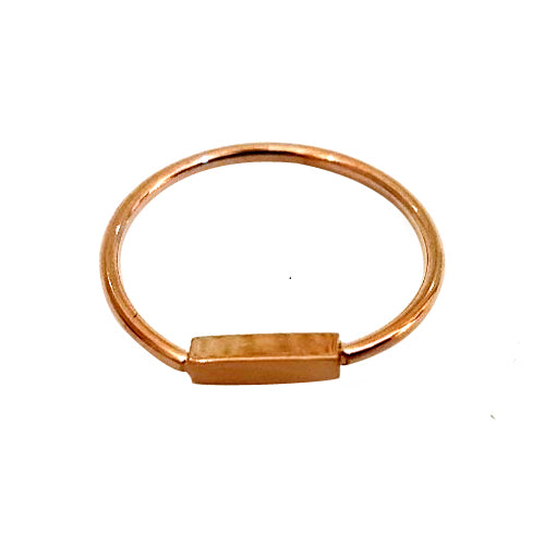 PR-61745 GD ステンレス製リング