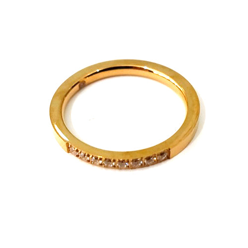 PR-61788 GD ステンレス製リング